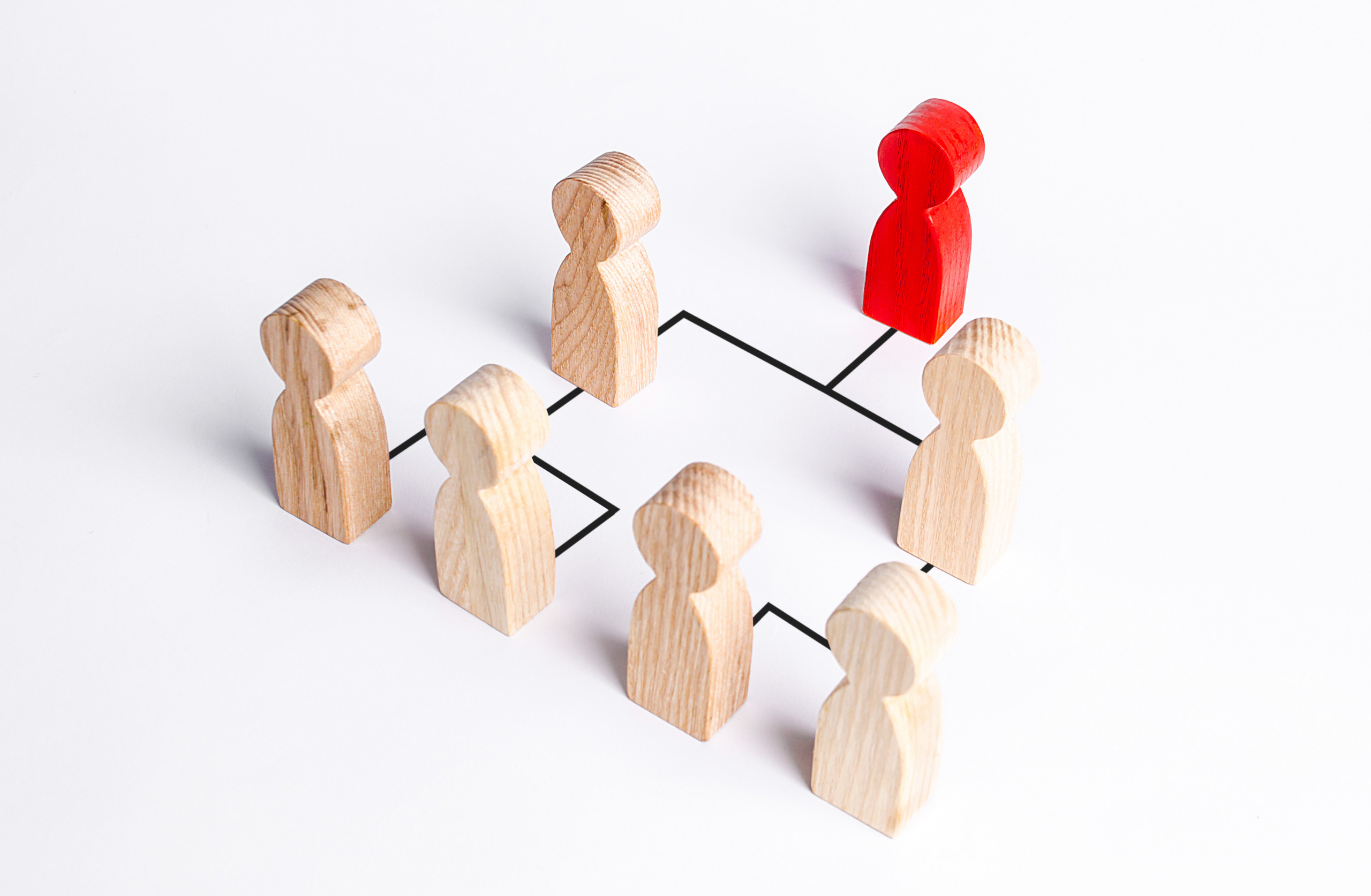 A hierarchical system within a company or organization. Leadership, teamwork, feedback in the team. Cooperation, collaboration. Hierarchy in the company. Business management and giving orders to staff