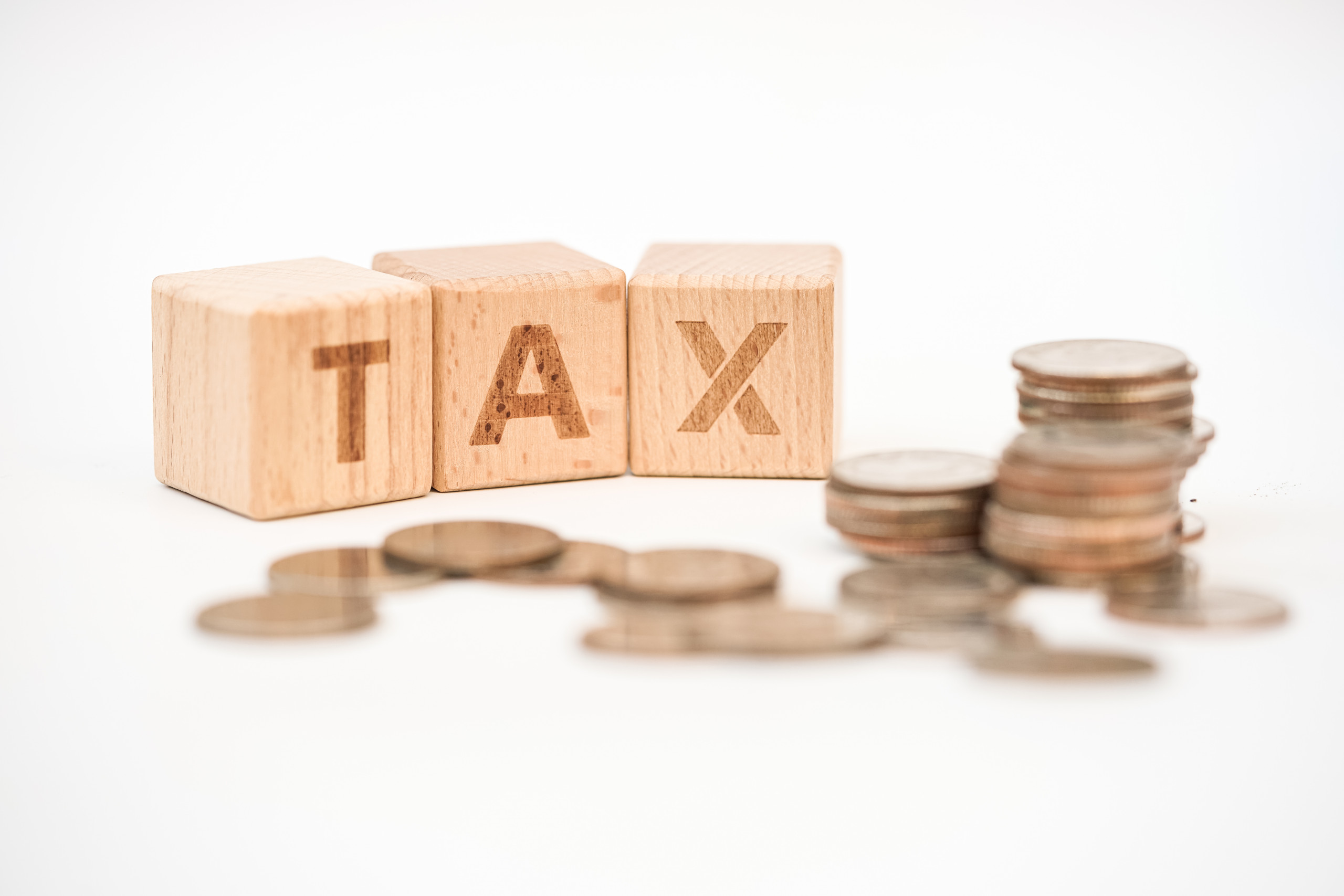 Word block TAX on payroll information form. Income, expenses, ta